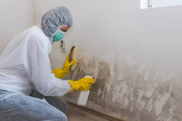 Best Emergency Mold Remediation  in Mineville, NY